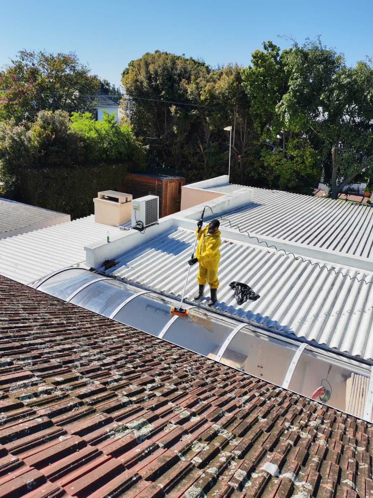 Sunflow roof cleaning in progress at the Pinelands property with the lichen-covered tiles visible